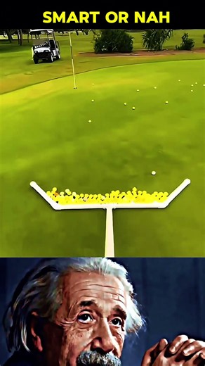 160+ IQ #sigmarule #respect #physics