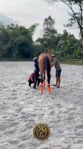 Exploring Equestrian Life in Indonesia