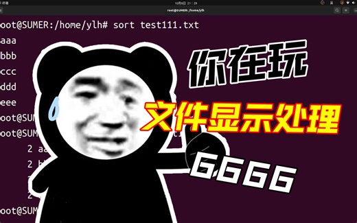 别再乱找！这几个Ubuntu文件显示和处理命令超实用！喜欢的点赞关注收藏投币～感谢😊