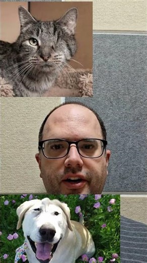 Demonstration / Monster #etymology #linguistics #language