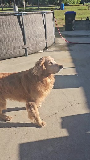 Kimberly Clark (@kimberlyclark78)’s videos with original sound - Kimberly Clark