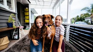 Dog on SPCA's 2020 list of shame finds home