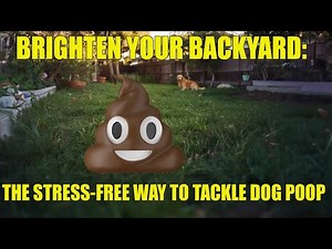 Easy Way To Pick Up Dog Poop In Your Yard.