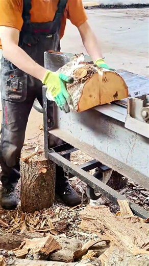 Satisfying Wood Splitting Crazy Machine in Action 😲 #shorts #woodwork