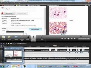 Connective Tissue Part 2