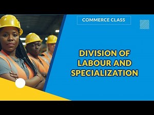 DIVISION OF LABOUR AND SPECIALIZATION | COMMERCE