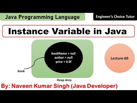 Instance Variable in Java | Java Programming Language | Java