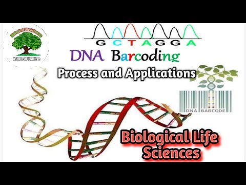 DNA Barcoding Process and Applications