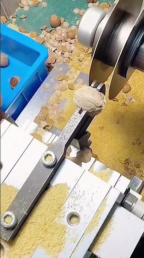 Easy cutting process of the hard nut shells with a double-wheel cutting machine