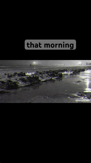 THE HOLLOW SHORE INCIDENT | Case File #1 REAL FOUND FOOTAGE #scarystory #screammovie