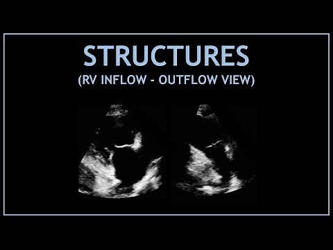 Cardiac STRUCTURES! (RV inflow and outflow view) - Echocardiography!