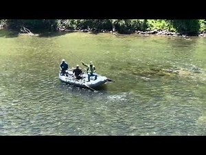 Guided Float Trips on the Tuckasegee River