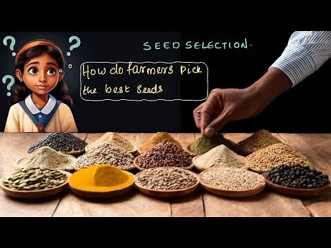 Seed Selection Crop Production & Management | Middle School Science | Khan Academy