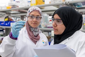 Finding Cancer-Promoting Genes Using Machine Learning | Genetics And Genomics