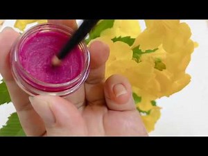 Homemade Natural Lipstick .How to make smooth lipstick with dragon fruit