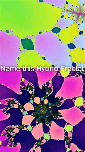 This feels like the Mandelbrot is trapped inside of the Newton Web 😔🪤 #fractal #newton #mandelbrot | Sadeeq Hasan