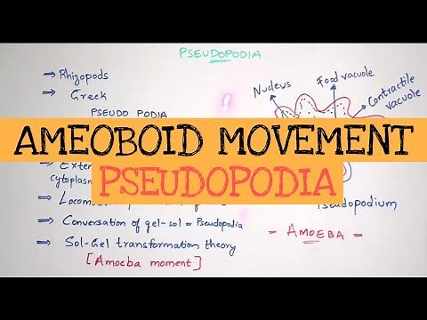 PSEUDOPODIA || AMOEBOID MOVEMENT || GEL-SOL THEORY || BY PHANINDRA GUPTHA