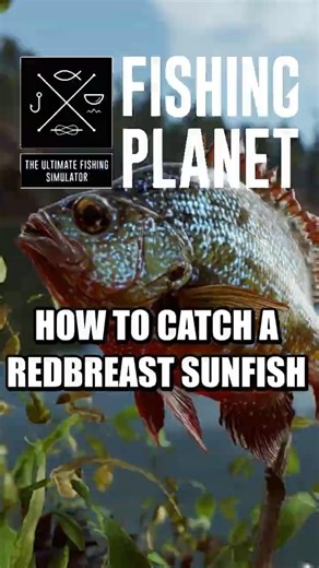 How To Catch A Redbreast Sunfish on Falcon Lake. #fishingplanet #shorts #foryou #fyp #gaming