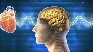 HeartMath Institute Research Director discusses why heart coherence is essential in stress management and sustainable behavioral change. Learn more at https://heartmath.org/science. Video produced by HeartMath Inc. * * * #heartcoherencescience #heartbrainconnection #stressmanagement #heartmathscience | HeartMath Institute