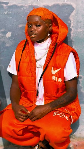 Understanding Brownfly's Behavior Today