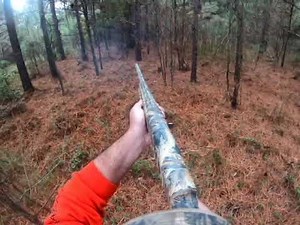 GOOD OLE SC DEER DOG HUNTING!!!!