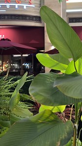 22K views · 4.6K reactions | Nagtetrade ka pa rin ba hanggang ngayon...