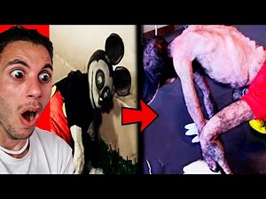 DISNEY PROJECT 😥 The Man Who Was Made Mickey Mouse