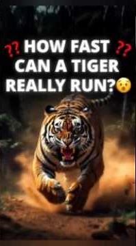 How Fast Can a Tiger Actually Run? The Shocking Truth Revealed! 🐅💨