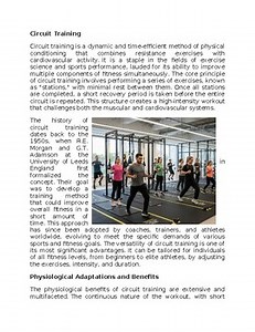 Circuit Training in Exercise & Sports Science Worksheet Classwork Homework