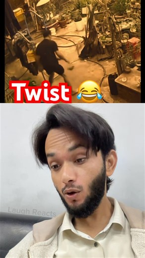 When your plan hits YOU instead 😹#birdreaction#animalsnorharmed#shorts#reactionshorts