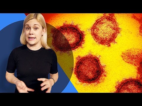 Coronavirus explained