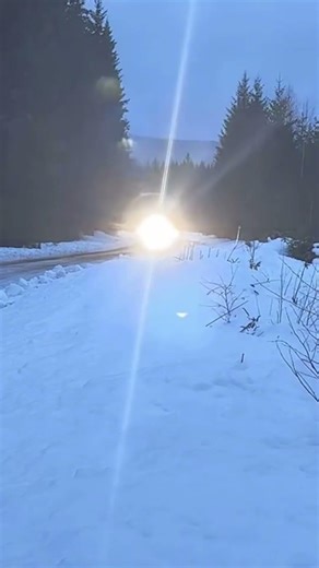 Real Rally Moments | Finnskogsvalsen #rally #rally2026