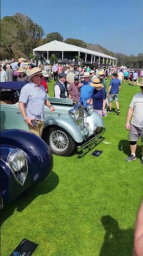 Jax Today: 31st Amelia Concours d’Elegance March 5 - 8, 2026