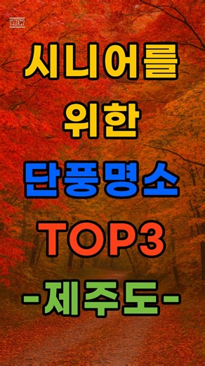 “가을 제주, 단풍은 여기입니다. 조용하게 걷기 좋은 제주 단풍 산책길 TOP3” 🍂 #제주단풍 #가을산책 #시니어여행