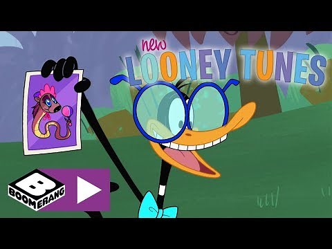 New Looney Tunes | The Jungle Show | Boomerang UK 🇬🇧