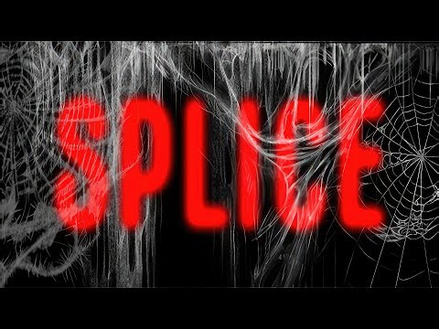 Splice | GamePlay PC