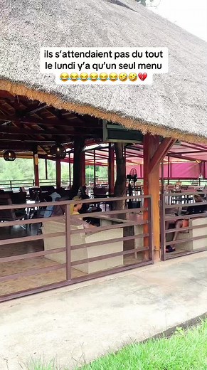 😂😂🤣🤣🤣🤣🤣🤣 #chefcuisinier #boushaboire #fypシ゚