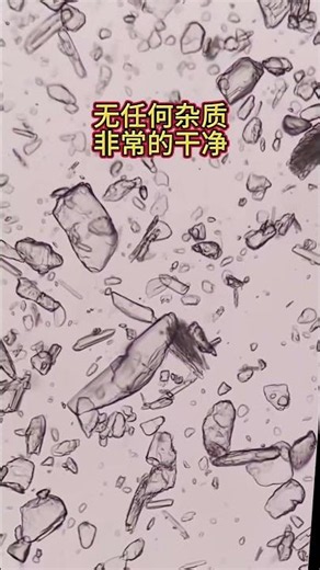 1000X Magnification: What’s Inside MSG?
