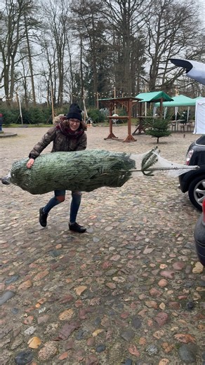 Madeleina Schwantes on Instagram: "Frohe Weihnachten!🎄An alle Twingo-Fans, Schrauber und Schrauberinnen, Volvofahrer, Petrolheads, E-Piloten, BMW-Chaoten, Bastler und Polierer und alle die nur Autos im Kopf haben. Möge der Weihnachtsmann euch einen vollen Tank, niedrige Sprit und Stromkosten und immer genug Luft in den Reifen bescheren - vielleicht liegt ja das ein oder andere Ersatzteil unterm Baum 😁🎁 #autoliebe #weihnachten #cargirl #twingo #petrolheads"