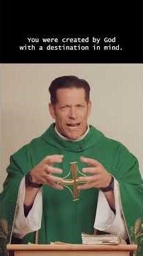 Fr. Mike Schmitz: The Purpose of Marriage for the Catholics.