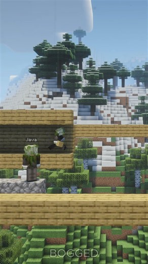 Minecraft Java vs Bedrock