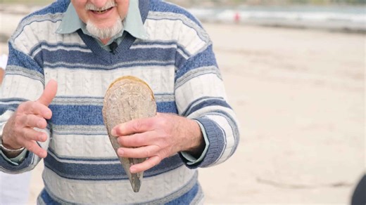 Beachcombing (Two)- exploring a bounty of finds with Sentinel Ocean Alliance