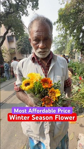 Winter Flowers at Affordable Price! ❄️🌸 | Kamol Mondal Kaka Nursery #shorts