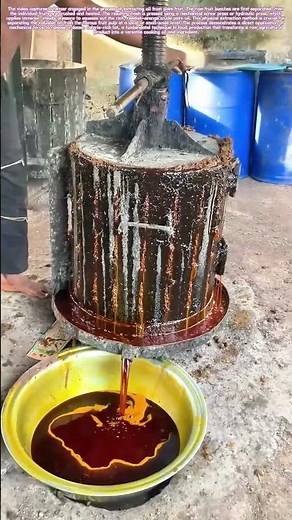 Pressing the Fruit: How Mechanical Force Extracts Palm Oil