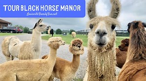 Farm Tour near Louisville with animal encounters