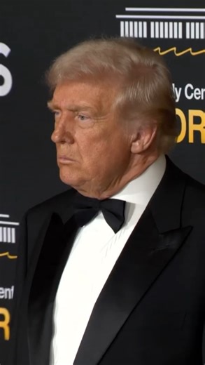 President Trump on Sunday cast doubt on Netflix’s proposed acquisition of Warner Bros. Discovery, saying it “could be a problem” because the streaming giant already holds a “very big market share.” “They have a very big market share, and when they have Warner Bros., you know, that share goes up a lot,” he told reporters on the red carpet at the Kennedy Center Honors. The president said he would consult with “some economists” and expected to be involved in whether the deal receives regulatory app