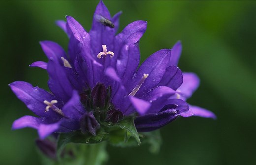 NatureScot Brand - Design guidelines