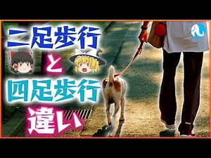 四足歩行と二足歩行動物の違いは何なのか？なぜ足の数が生物によって違うのか？【ゆっくり解説】