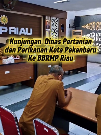 BRMP Riau (@brmp_riau)’s videos with original sound - BRMP Riau