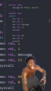 4K views · 34 reactions | When my friend sees how long the code is just to print “Hello World” in Assembly #lifestyle #DevOps #memes #HackTraining #OWASP #bugs #assembly #INTERNET #networking Hack Training | Hack Training | Facebook